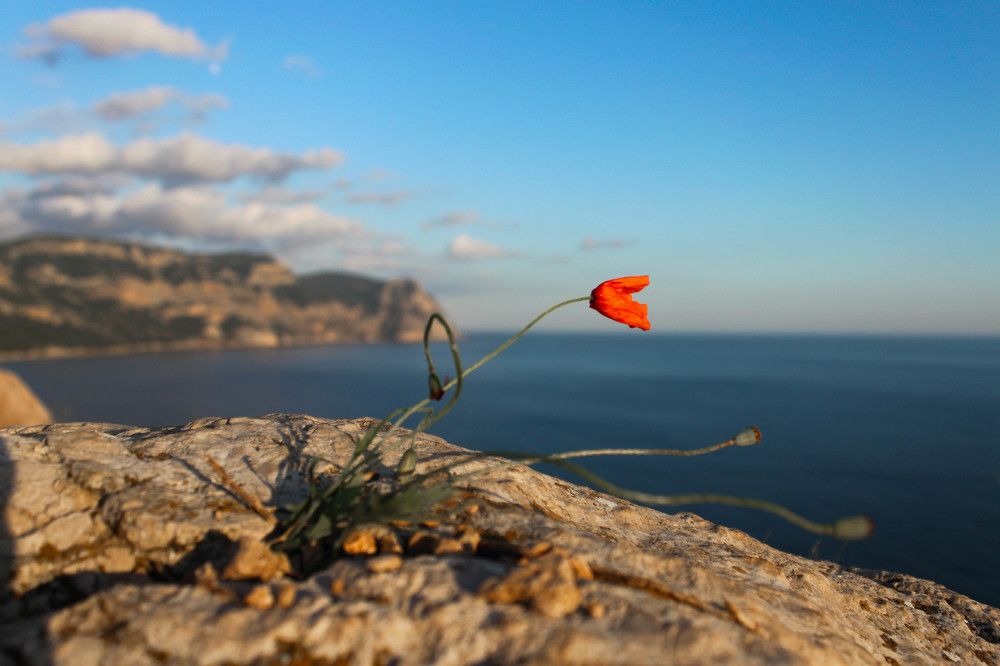 Photograph by Дмитрий Свинухов