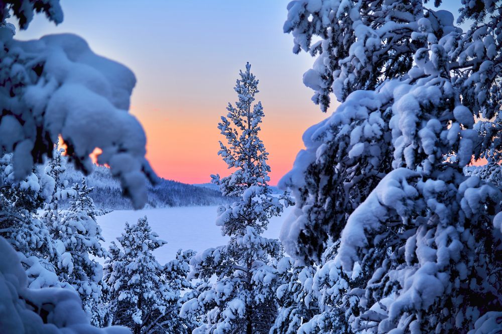 Photograph by Ксения Щербань