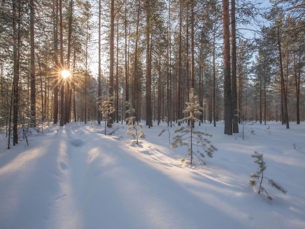 Photograph by Елена Хорохорина