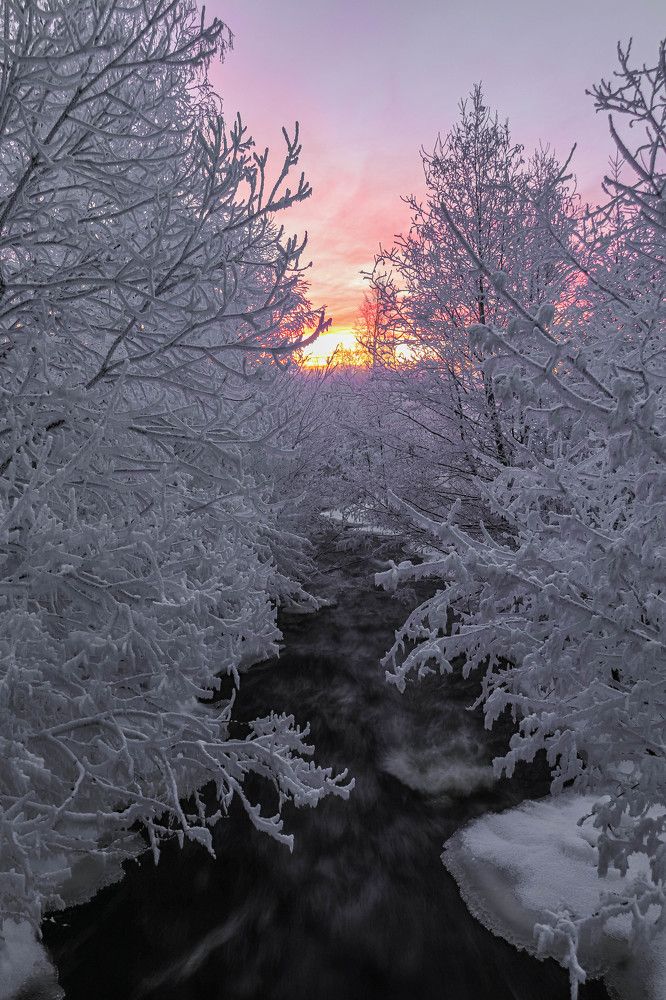 Photograph by Дмитрий Свинухов