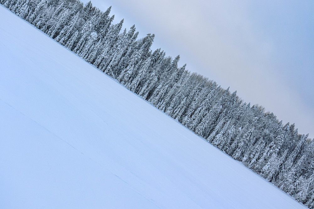 Photograph by Дмитрий Свинухов