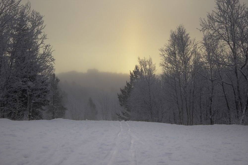 Photograph by Татьяна Мельникова