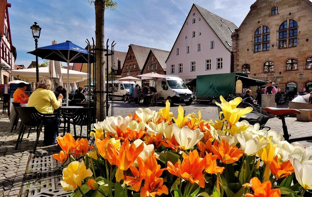 Photograph by backareva irina