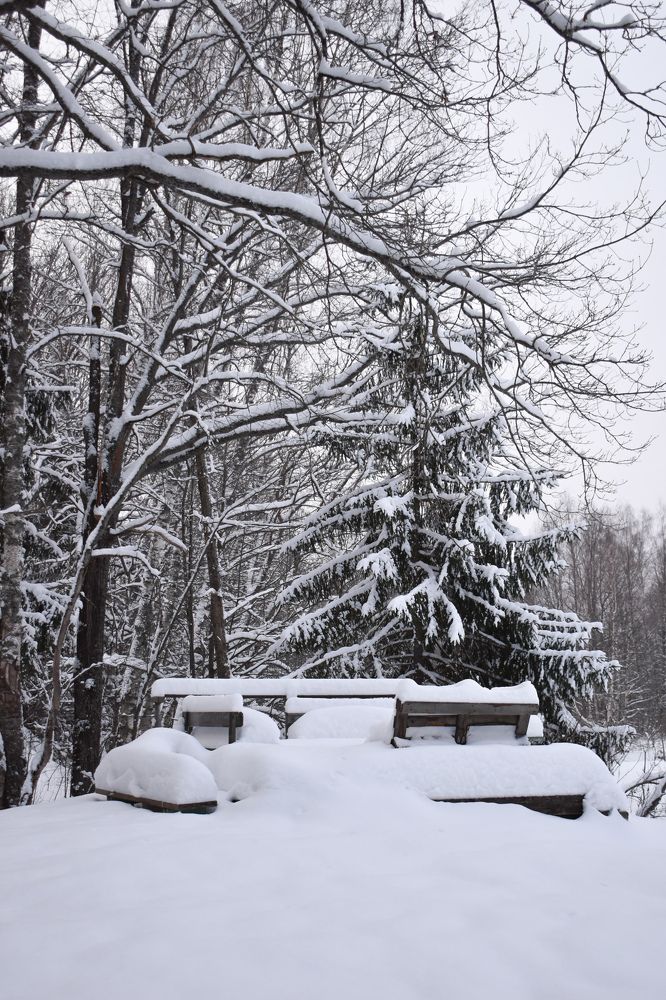 Photograph by Виктория