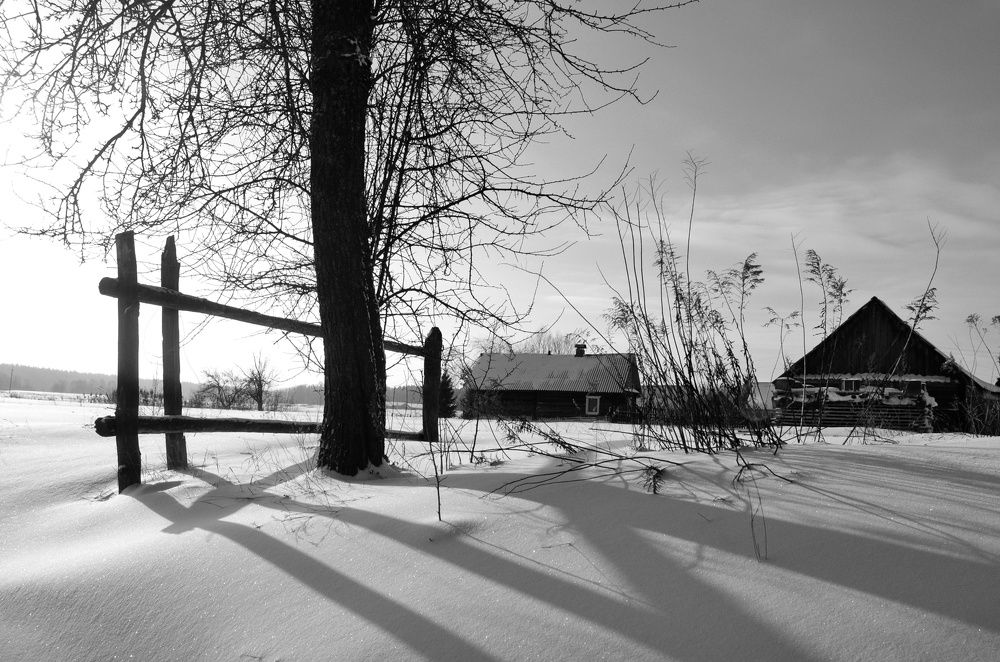 Photograph by Вероника Матиевская