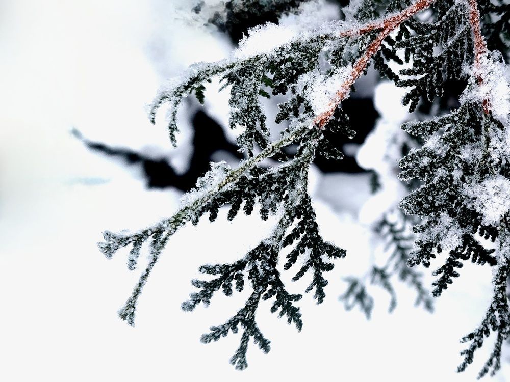 Photograph by Анна