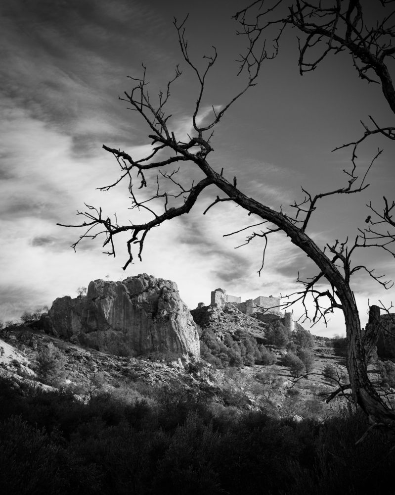 Photograph by Miguel Angel Vidal Folgar