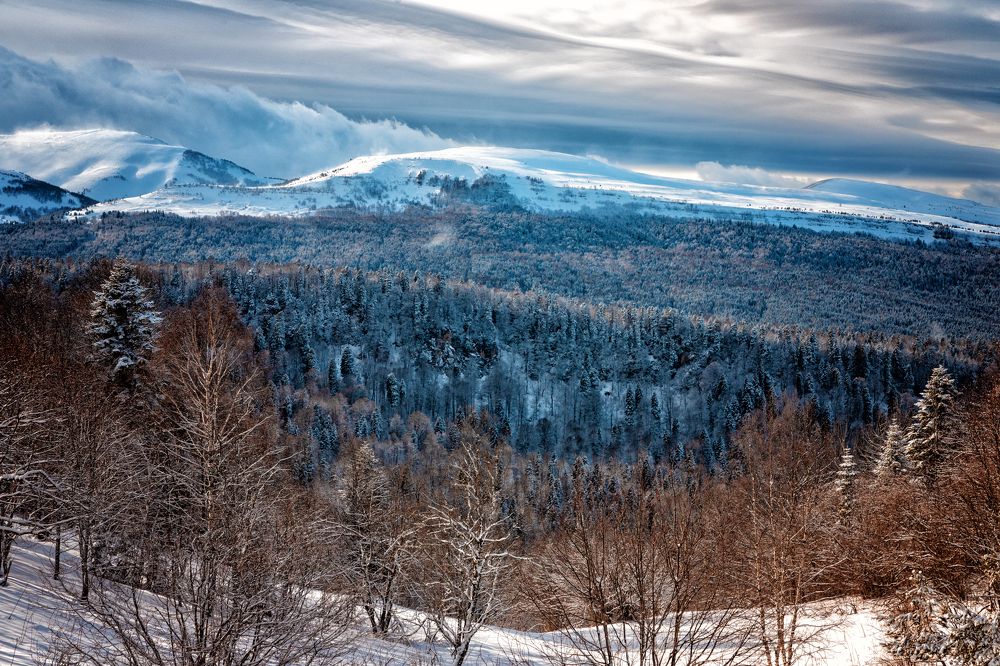 Photograph by EKATERINA WALTER