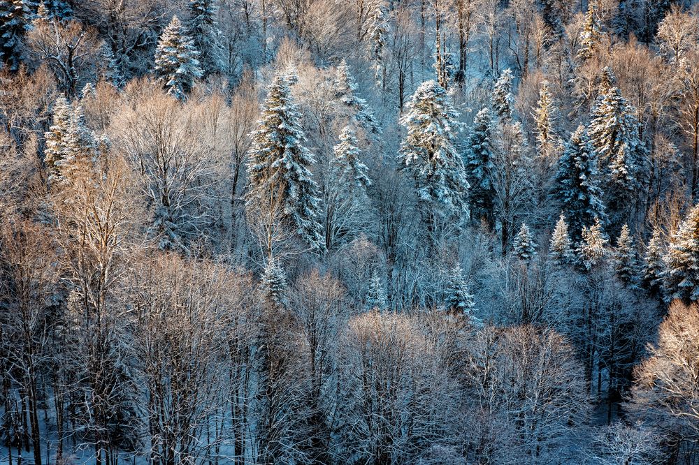 Photograph by EKATERINA WALTER