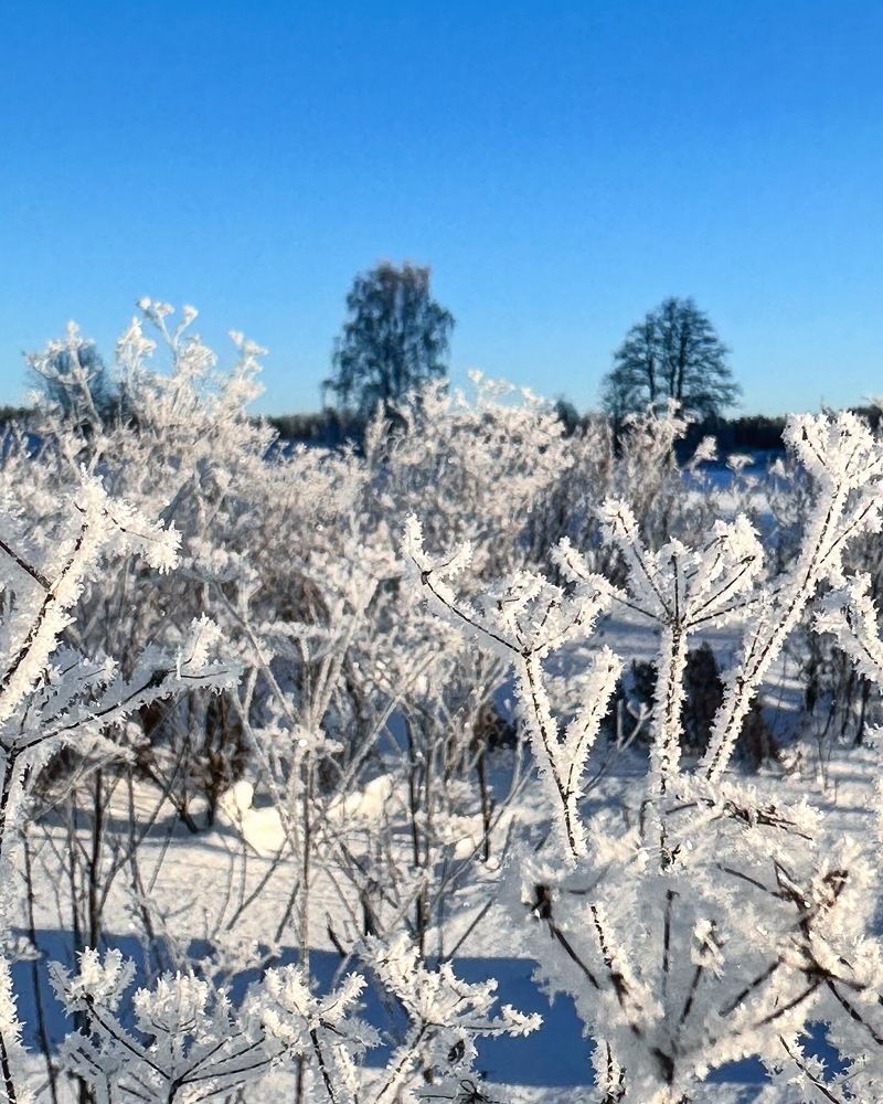 Photograph by Лариса Акинчиц
