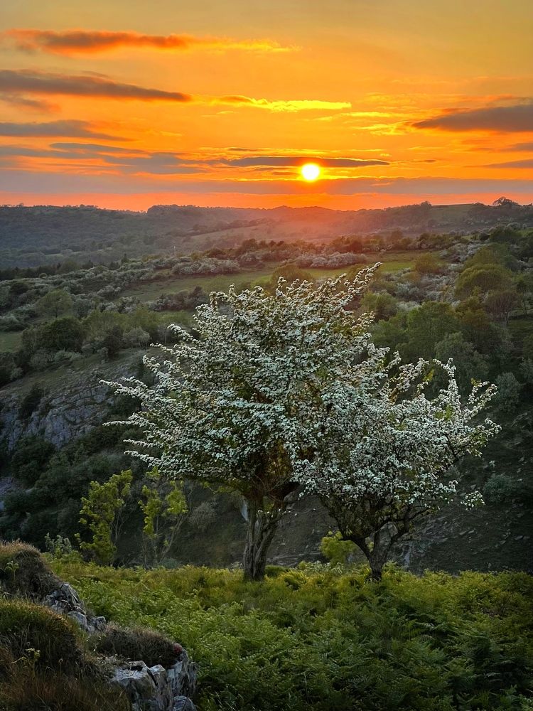 Photograph by Ингрида Кузнецова