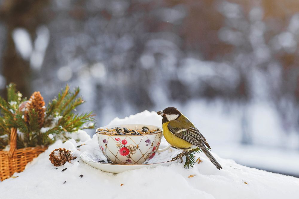 Photograph by Анна Ушакова