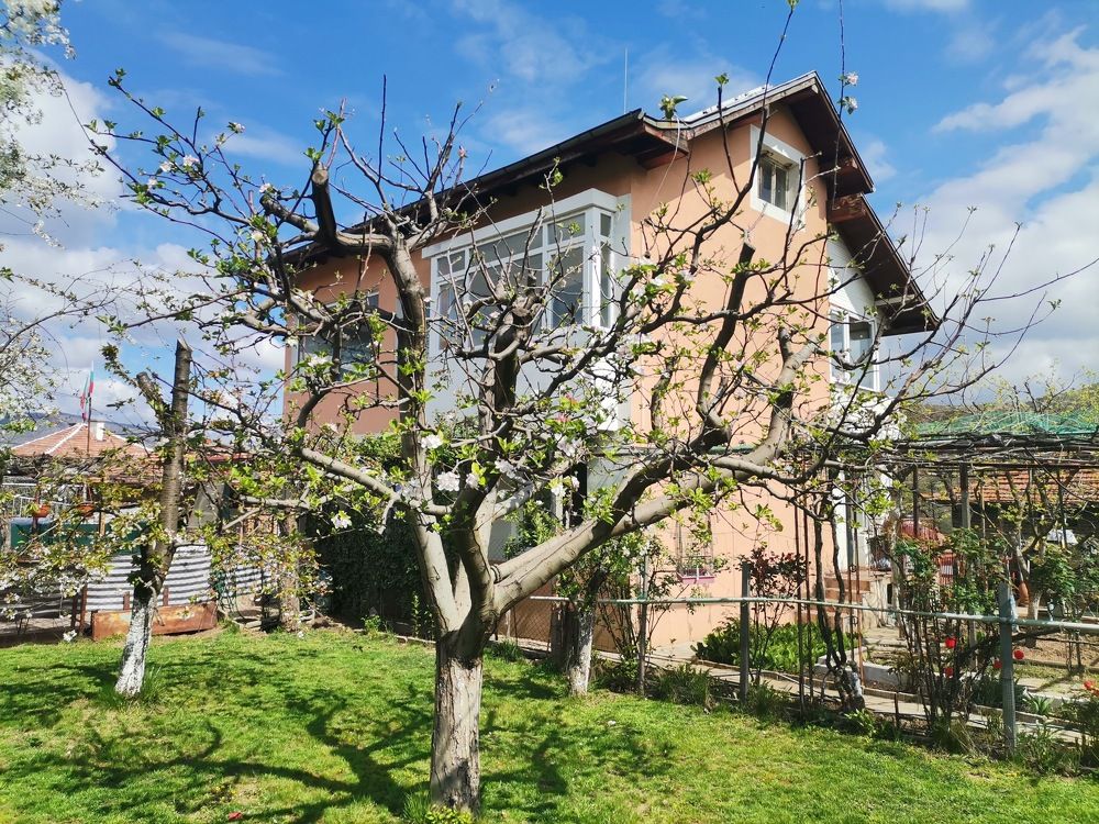 Фотография автора Stoyan Blagoev