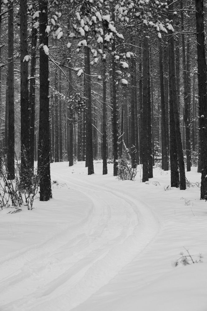 Photograph by Алексей Соймин