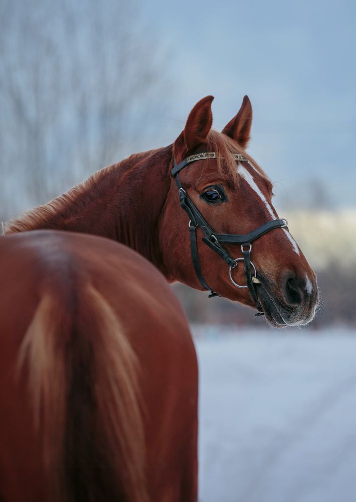 Photograph by Любовь Похабова