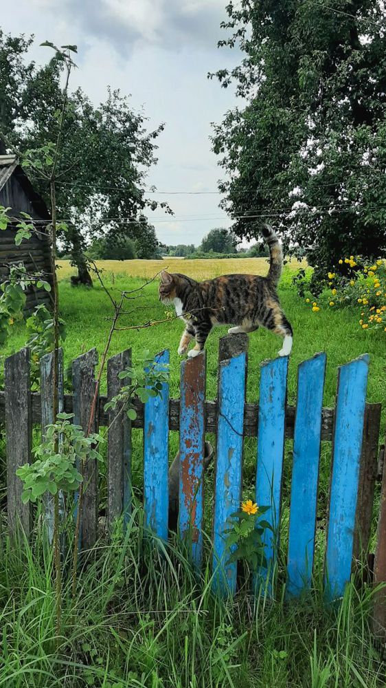 Photograph by Юлия Губаренко
