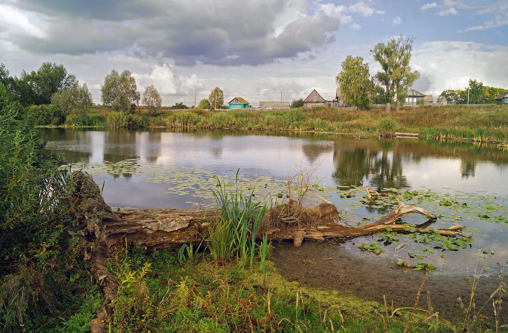 Photograph by Мишустина Татьяна