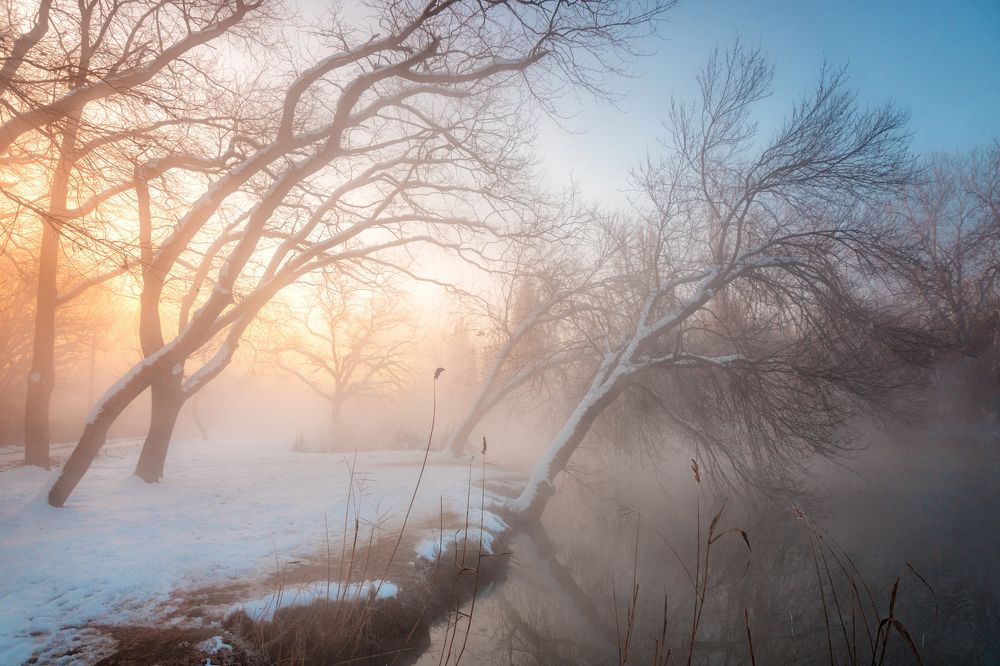 Photograph by EKATERINA WALTER