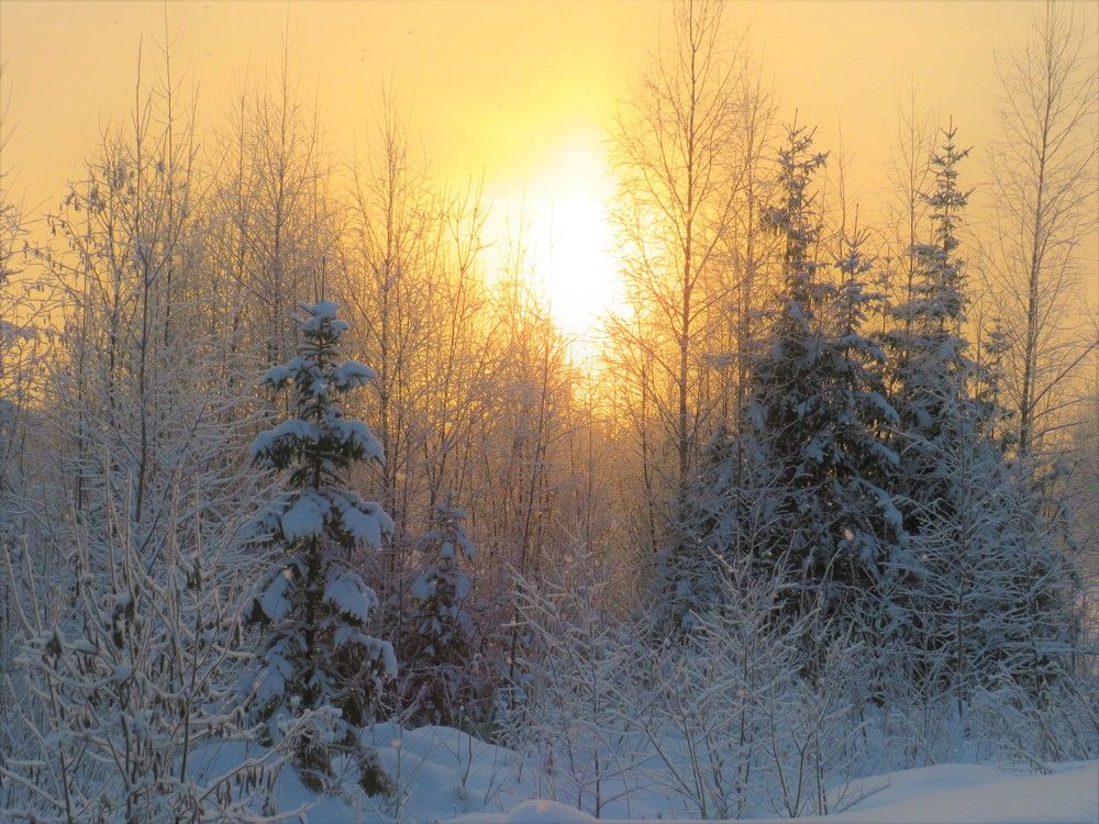 Photograph by Людмила Кононова