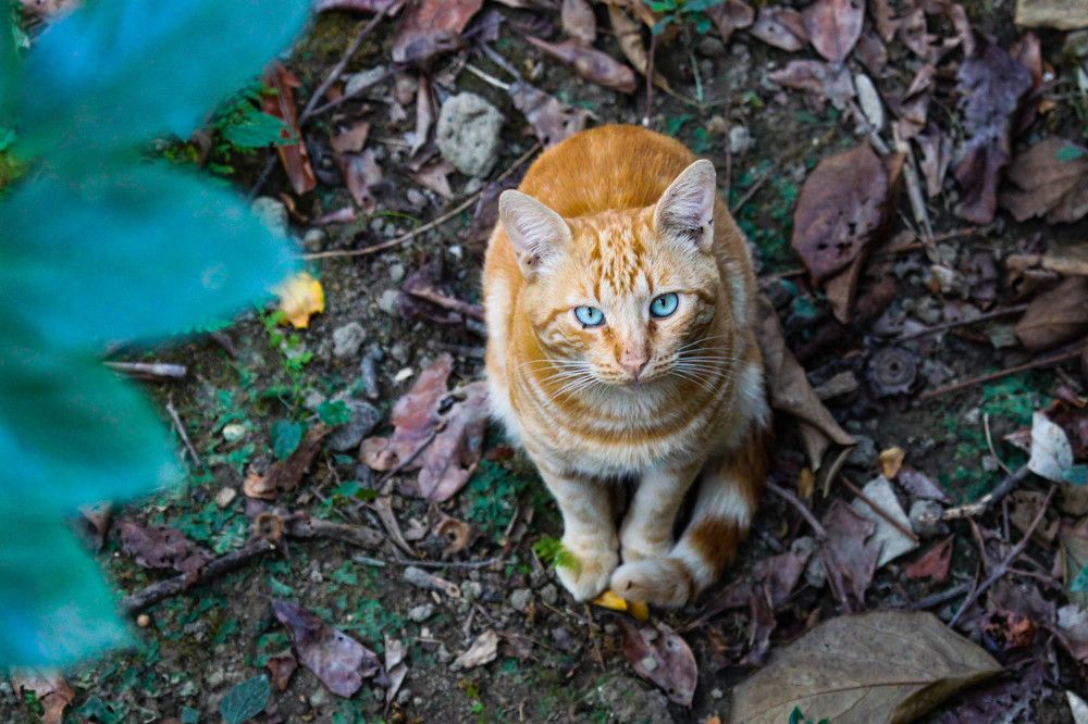 Photograph by Дмитрий Свинухов