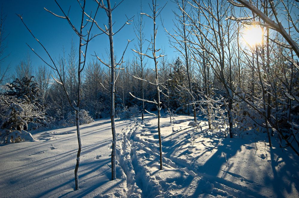 Photograph by Ken Oliver