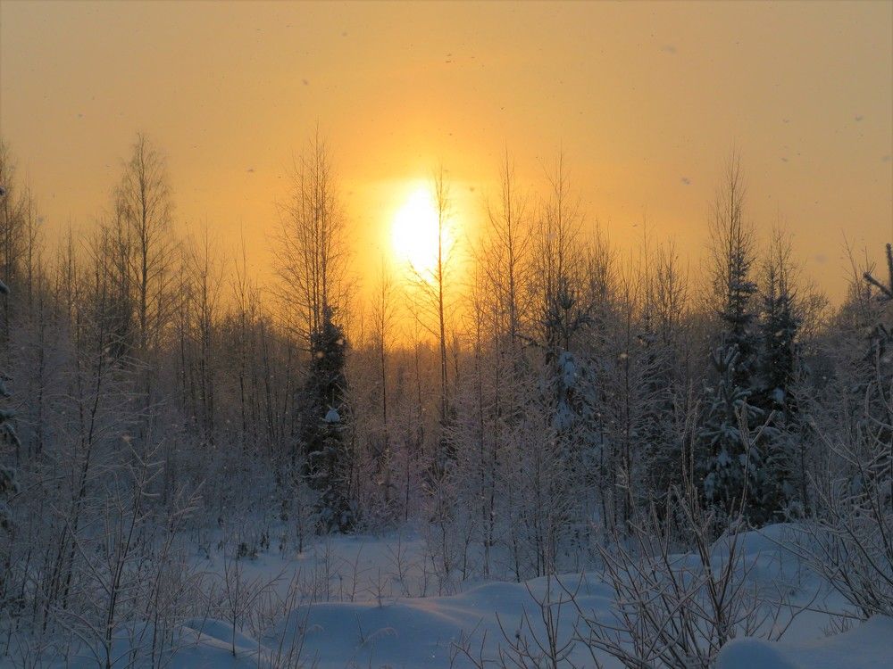 Photograph by Людмила Кононова