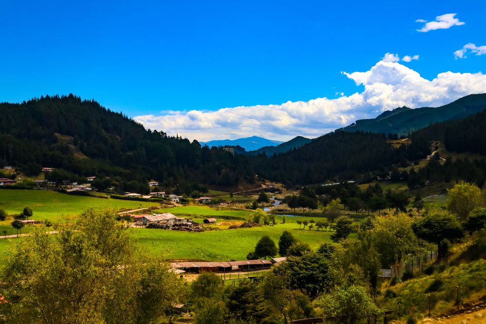 Photograph by Jorge Giol - El Caminante