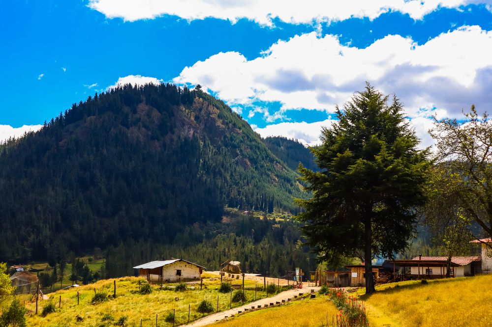 Photograph by Jorge Giol - El Caminante