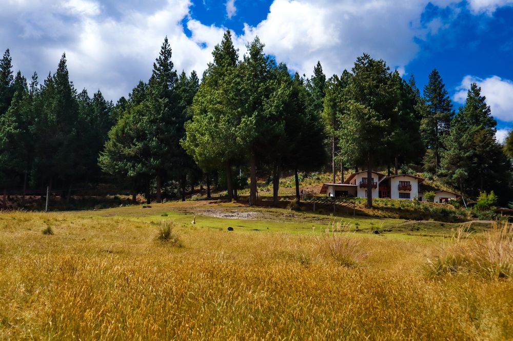 Photograph by Jorge Giol - El Caminante