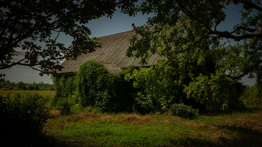 Photograph by Онейра Скриптор