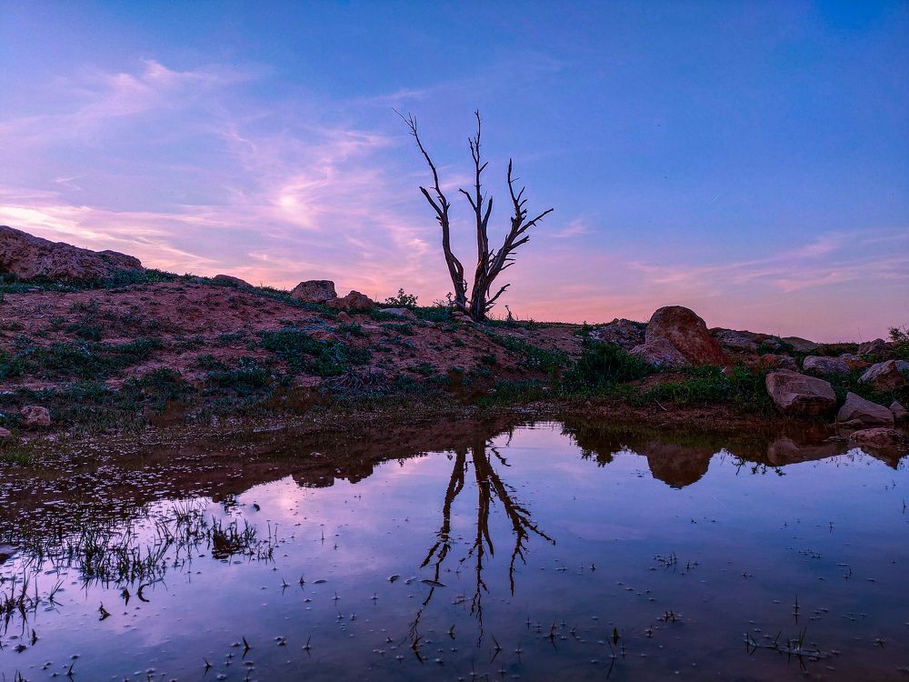 Photograph by sadouni zaki