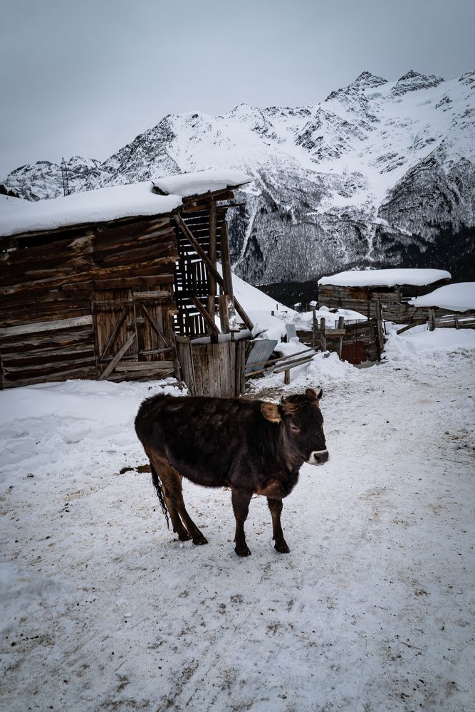 Photograph by Юрий Гаврилов