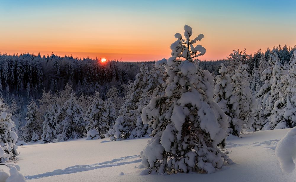 Photograph by Алексей Фрилунд