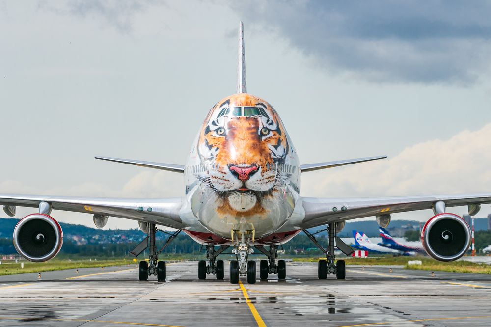 Photograph by Юрий Ломакин