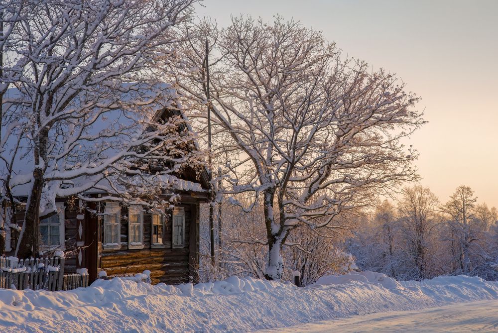 Photograph by Алексей Фрилунд