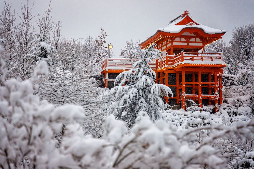 Photograph by EKATERINA WALTER