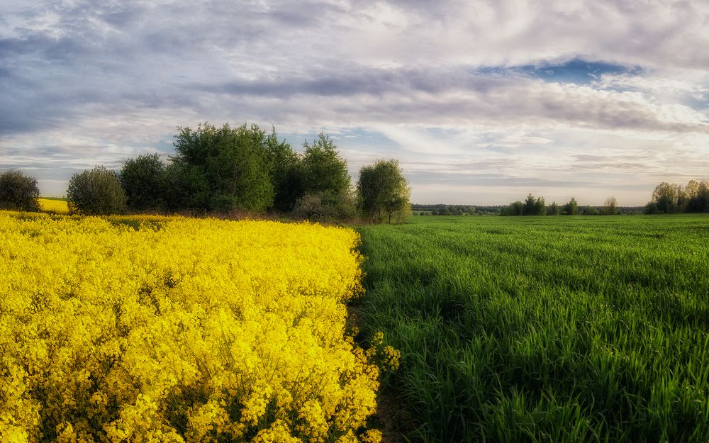 Photograph by Сергей Дишук