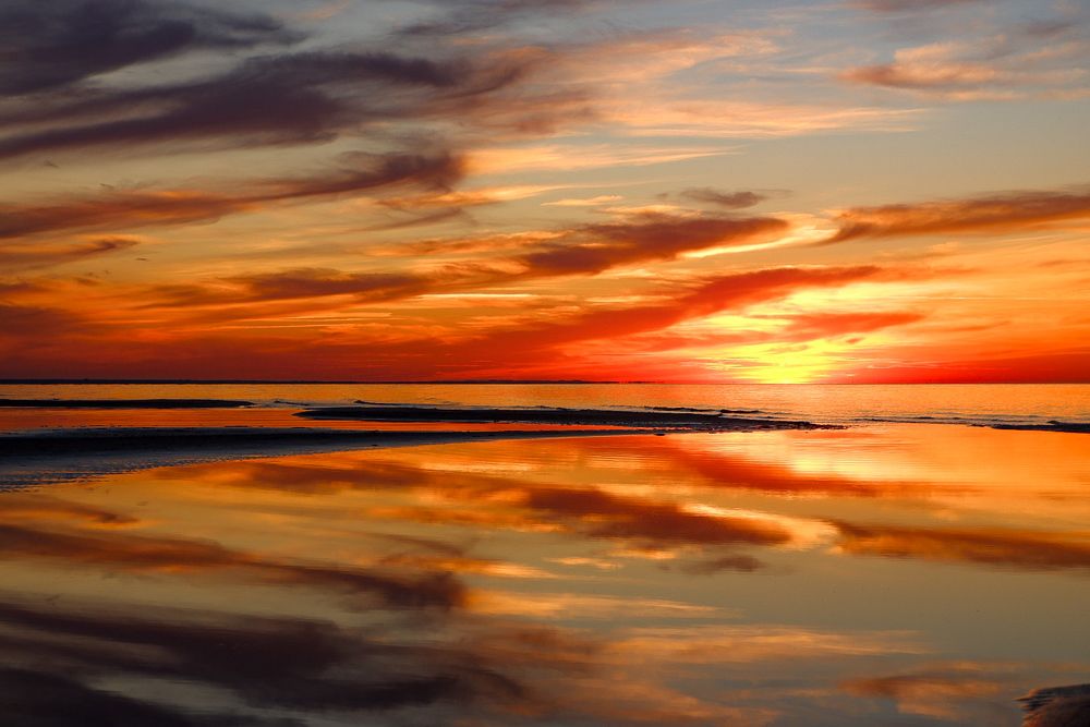 Фотография автора Elvijs Kalniņš