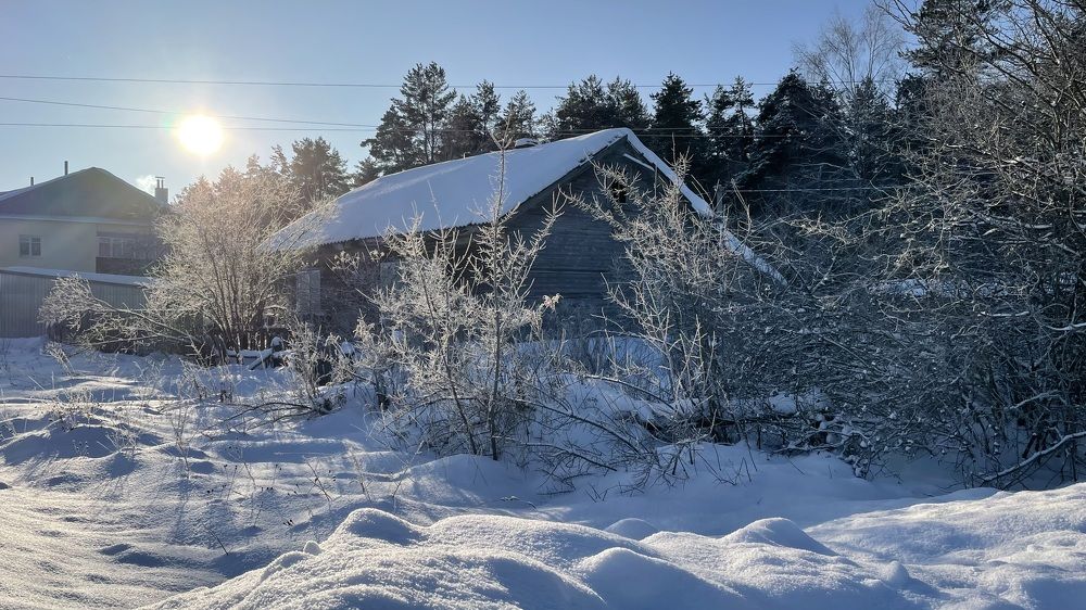 Photograph by Елизавета Большакова