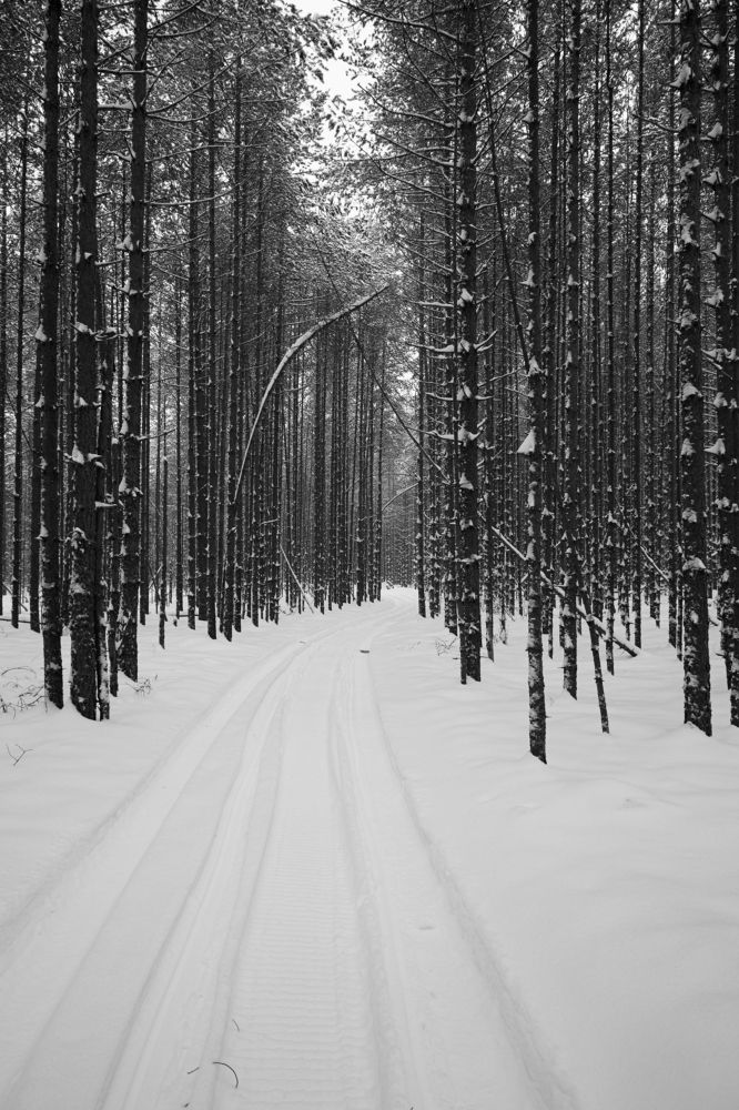 Photograph by Алексей Соймин