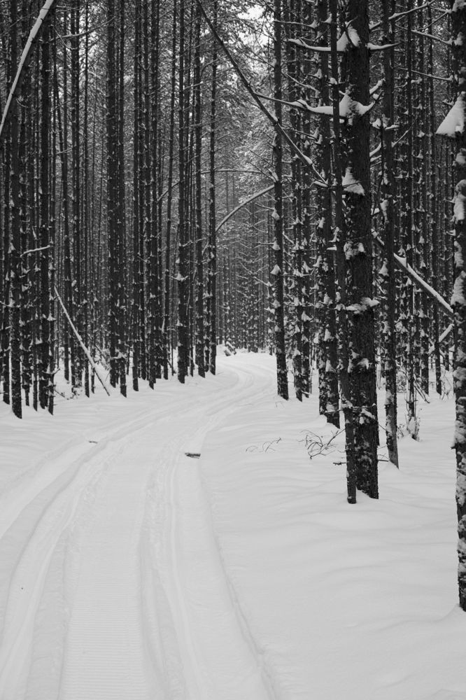 Photograph by Алексей Соймин