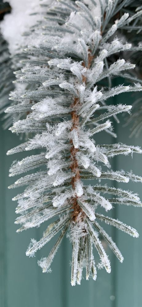 Photograph by Юлия Дубино