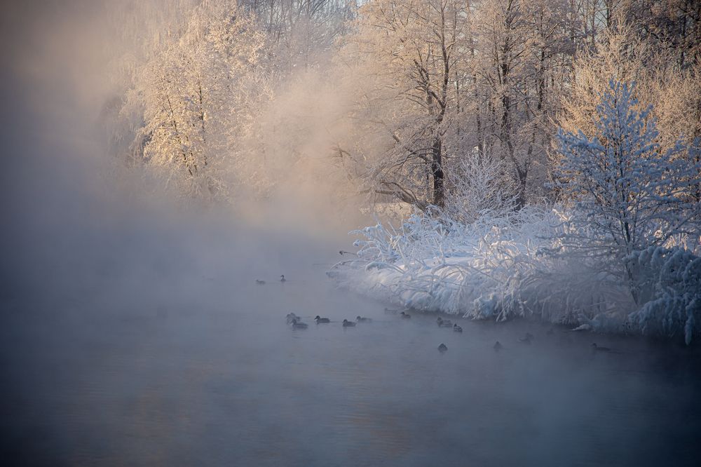 Photograph by Юлия Шурандина