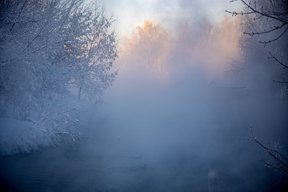 Photograph by Юлия Шурандина