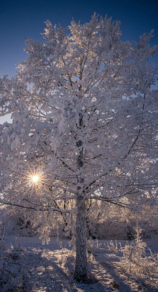 Photograph by Юлия Шурандина