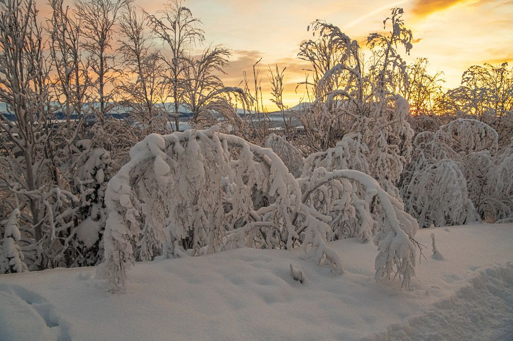 Photograph by Юрий Платухин