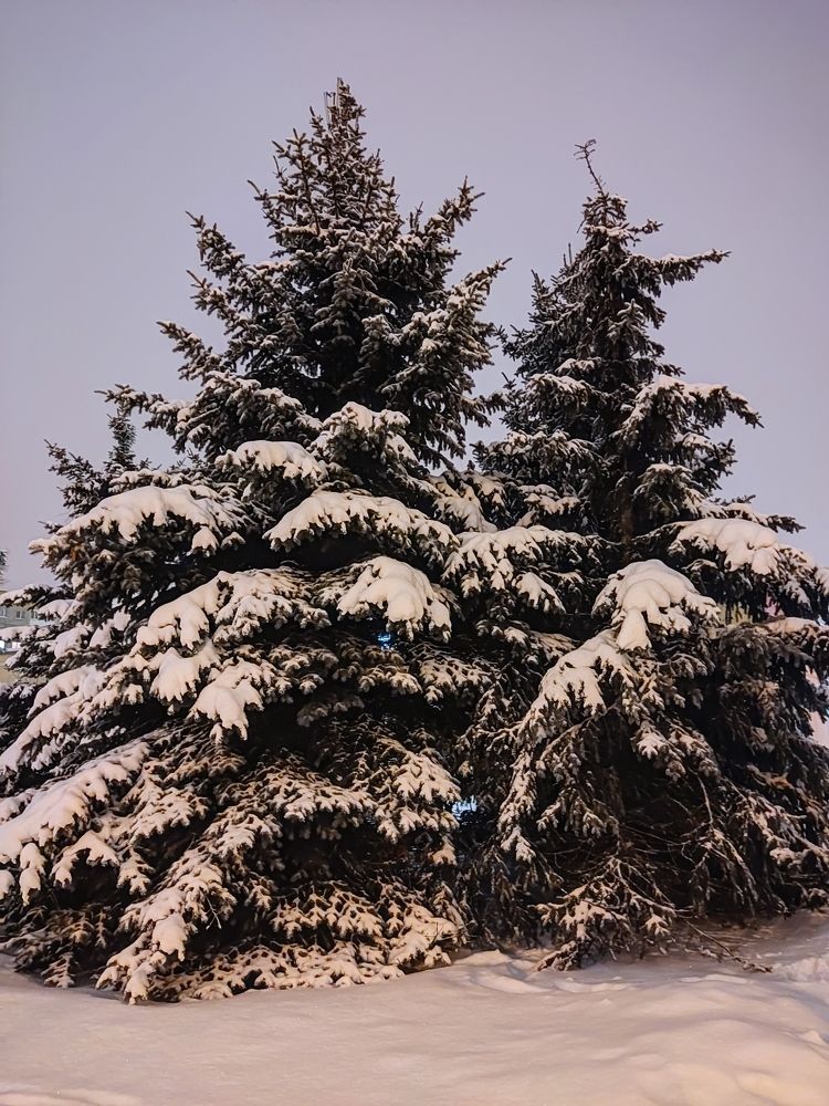 Photograph by Влад Барышов