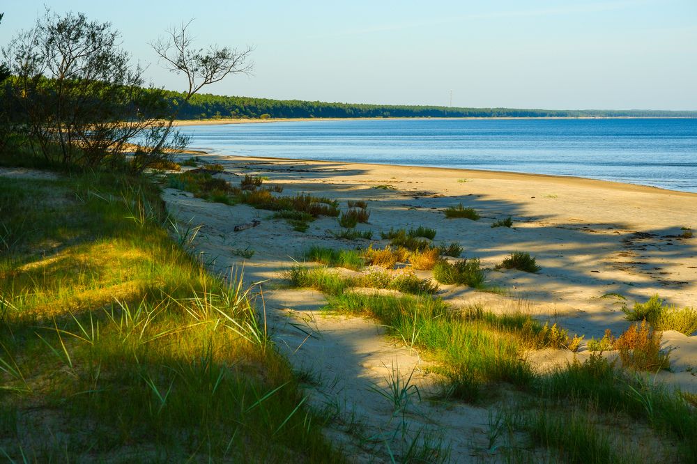 Фотография автора Elvijs Kalniņš