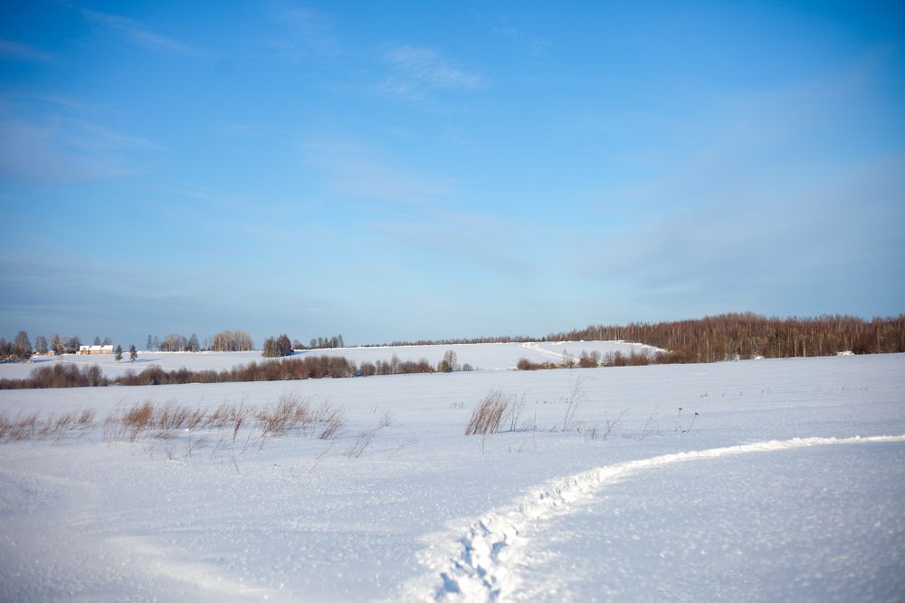 Photograph by Светлана Мишенёва