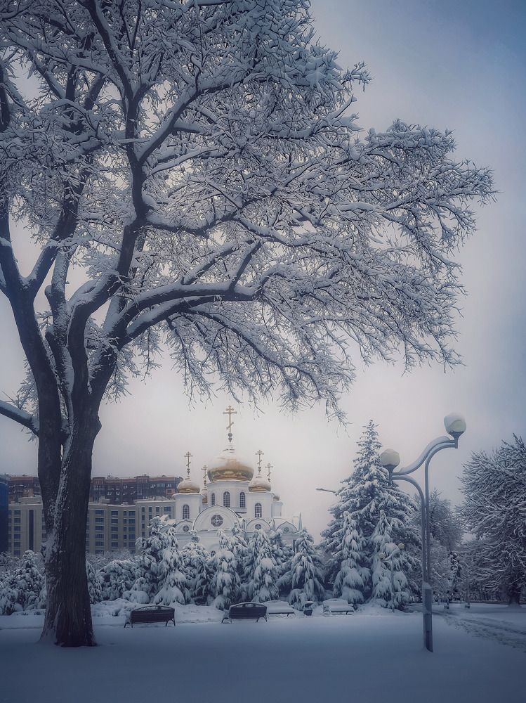 Photograph by Владимир Кульбит